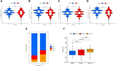 N6-Methyladenosine Modification Patterns and Tumor Microenvironment Immune Characteristics Associated With Clinical Prognosis Analysis in Stomach Adenocarcinoma